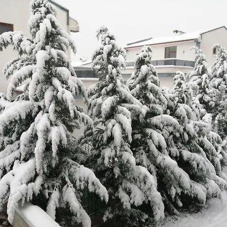 Oasis Akkoey * Samanli